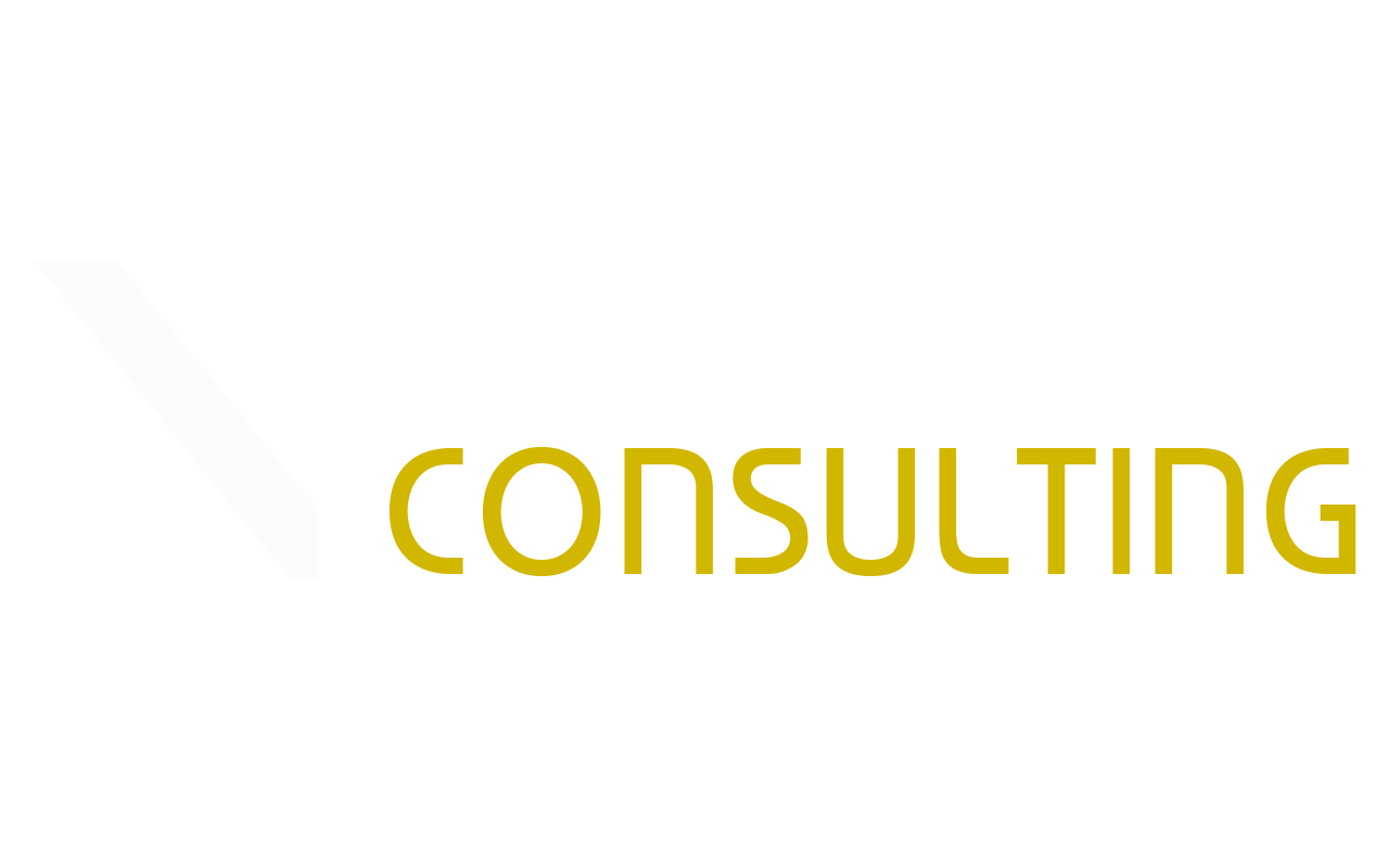 BNF Consulting Logo