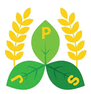 New JPS Trading